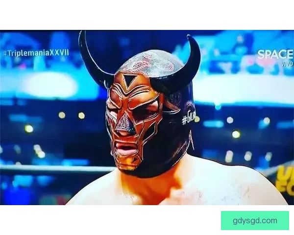 UFC凯恩对决布朗力量与耐力巅峰碰撞的终极之战全面剖析