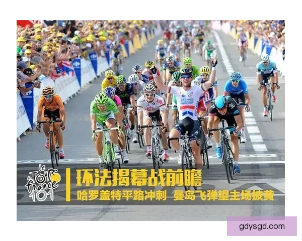 以哈罗vs焦点对决全解析背景实力走势与胜负看点深度前瞻赛场影响