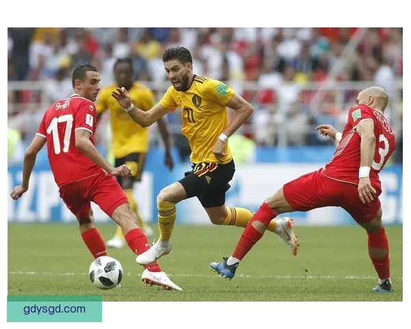 以瑞典对阵秘鲁为焦点的南美与北欧足球激情碰撞前瞻世界杯赛场